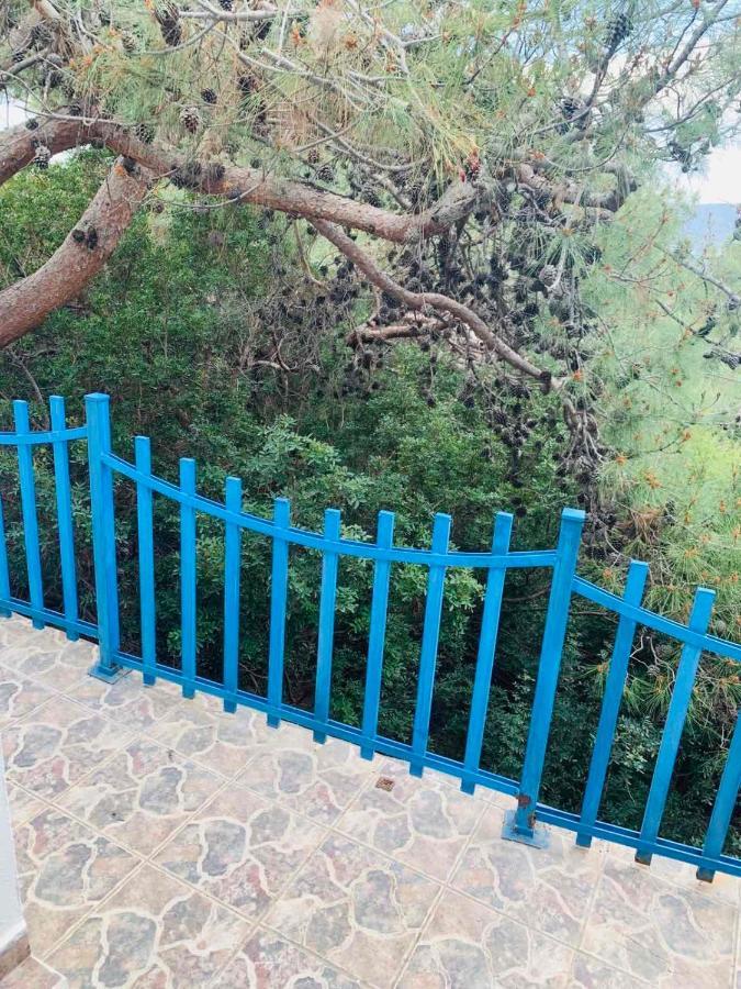 Villa Bellina Pefki Eksteriør bilde